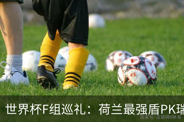 世界杯F组巡礼：荷兰最强盾PK瑞典犀利刀 日本短板明显